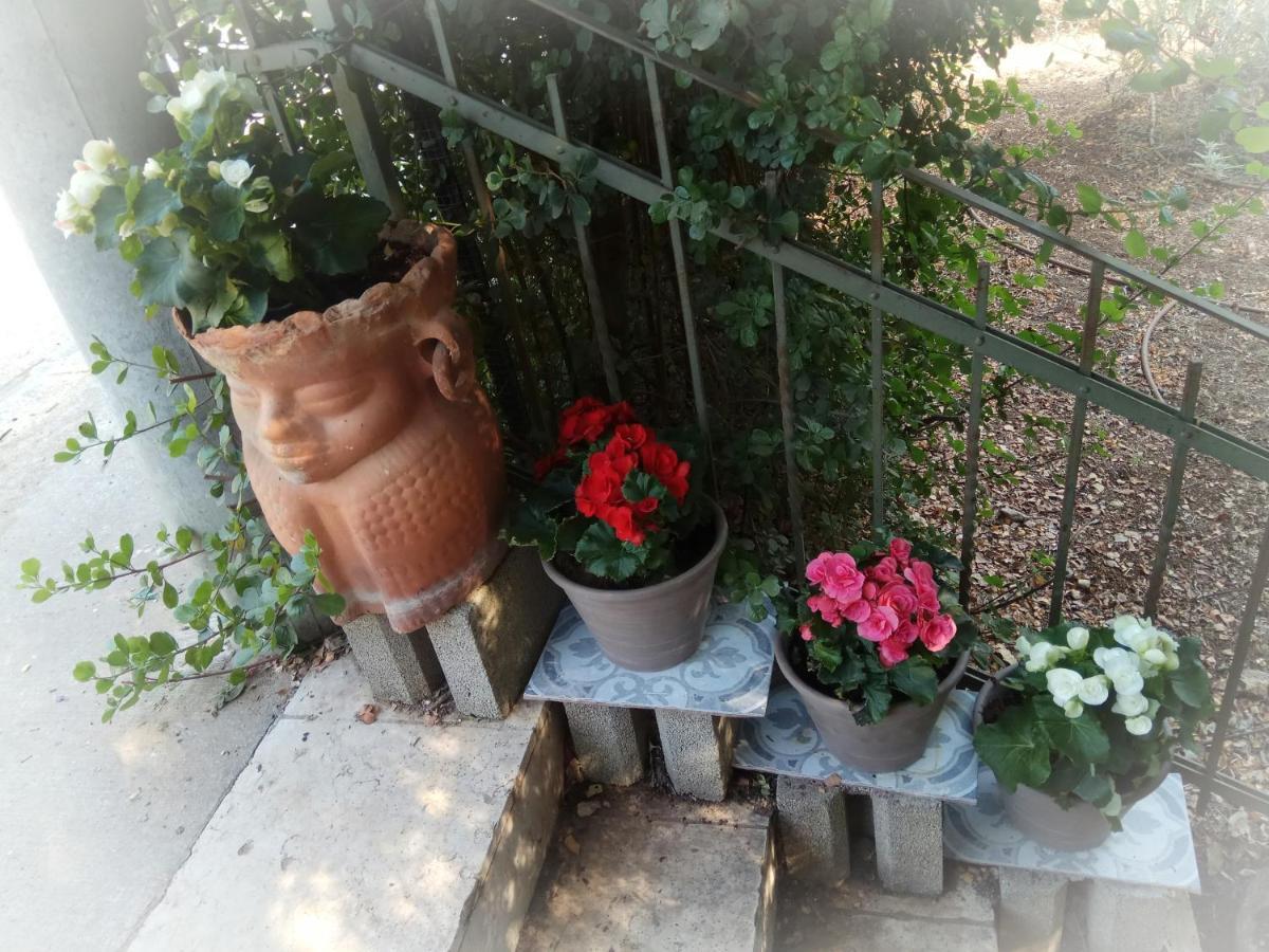 דירות Bethlehem of Galilee דירת מסע בגליל מראה חיצוני תמונה
